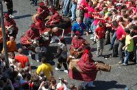 doudou2006_310.jpg